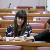 Nezavisni zastupnici