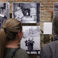 U službi vizualizacije baštine