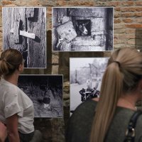 U službi vizualizacije baštine