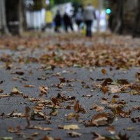 U Zagreb stiglo najavljeno zahlađenje i vjetar