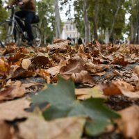 U Zagreb stiglo najavljeno zahlađenje i vjetar