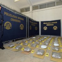 PU Zadarska zapljenila je 52 kg marihuane