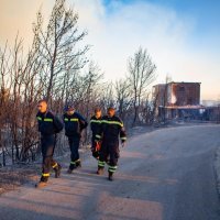 Požar na  Pelješcu