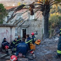 Požar na  Pelješcu