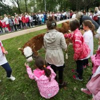 Na Bundeku obilježen Svjetski dan školskog mlijeka