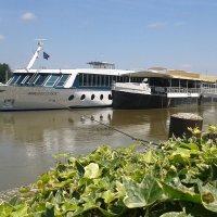 Riječni kruzeri u Osijeku