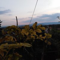 Honor 7A - primjeri fotografija