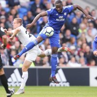 Cardiff City - Burnley