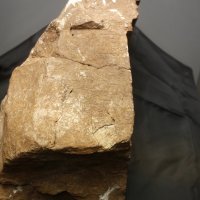 Press konferencija o primopredaji novonađenog ulomka Lumbarajske psefizme