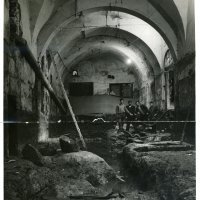 Arheološka istraživanja Podruma D.p. 1959. godine