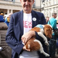 'Psi protiv Brexita' ispred parlamenta kako bi zahtijevali novi referendum o EU