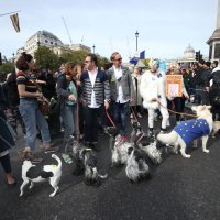 'Psi protiv Brexita' ispred parlamenta kako bi zahtijevali novi referendum o EU