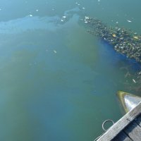 Naftna mrlja na Savi kod Slavonskog Broda