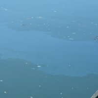 Naftna mrlja na Savi kod Slavonskog Broda