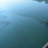 Naftna mrlja na Savi kod Slavonskog Broda