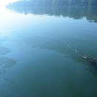 Naftna mrlja na Savi kod Slavonskog Broda