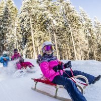 Rodeln-am-Spieljoch-Fuegen-im-Zillertal_Erste-Ferienregion-im-ZILLERTAL