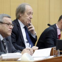 Furio Radin,Ivan Bukarica