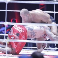 Fedor Emelianenko