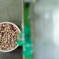 Osječki studenti osmislili su uređaj koji razvrstava dobar od lošeg graha