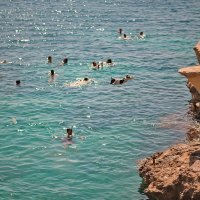 Carmelo i njegov psić Titti