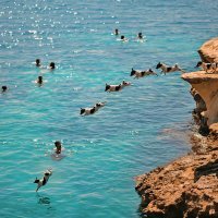 Carmelo i njegov psić Titti