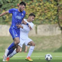 Dinamo- Viitorul 2:0