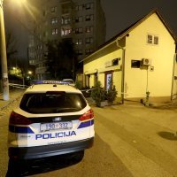 Dalmatinka u Paromlinskoj