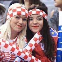 Hrvatska - Švicarska, navijači