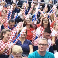 Hrvatska - Švicarska, navijači