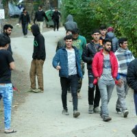 Dio migranata autobusom prevezen u prihvatni centar Bira