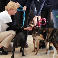Predsjednica i "prvi" psić na Danima otvorenih vrata povodom Dana zaštite životinja