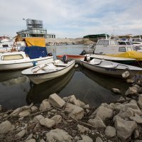 Nizak vodostaj Dunava kod Vukovara