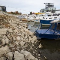 Nizak vodostaj Dunava kod Vukovara