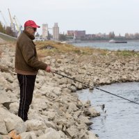 Nizak vodostaj Dunava kod Vukovara