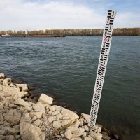 Nizak vodostaj Dunava kod Vukovara
