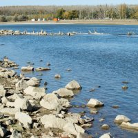 Nizak vodostaj rijeke Drave uzrokovao je nakupljanje smeća uz obalu
