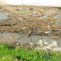 Nizak vodostaj rijeke Drave uzrokovao je nakupljanje smeća uz obalu