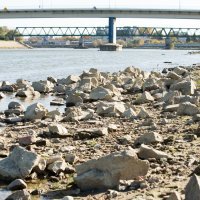 Nizak vodostaj rijeke Drave uzrokovao je nakupljanje smeća uz obalu