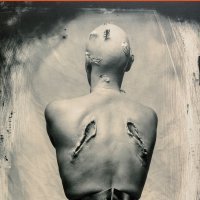 'Tijelu, poezija', Szilárd Borbély, prevela Lea Kovács