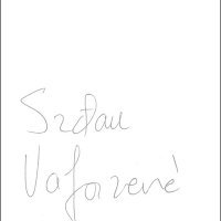 Komo, Srđan Valjarević