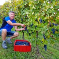 Seljačko domaćinstvo Čulig