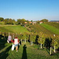 Seljačko domaćinstvo Čulig