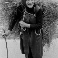Predah s osmijehom, Tijarica, 1992.