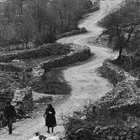 Put u kamenu, Krstatice (Zagvozd) , 1998.