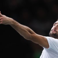 Marin Čilić -  EPA