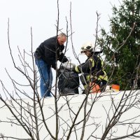 Policija u Trnovčići zaustavila kamion i zaplijenila sumnjive pakete