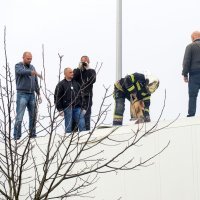 Policija u Trnovčići zaustavila kamion i zaplijenila sumnjive pakete