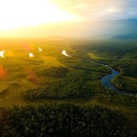 Amazona - prašuma u Brazilu