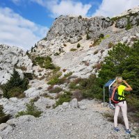 Francuska cesta u Brelima